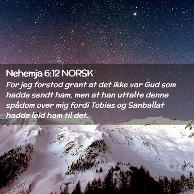 Picture 02 - Nehemja 6:12 NORSK - For jeg forstod grant at det ikke var Gud som - Bible Verse Picture