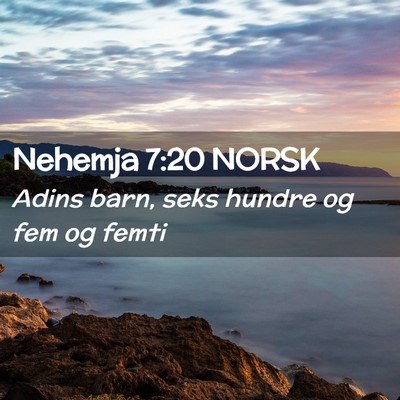 Picture 02 - Nehemja 7:20 NORSK - Adins barn, seks hundre og fem og - Bible Verse Picture
