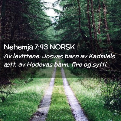 Picture 02 - Nehemja 7:43 NORSK - Av levittene: Josvas barn av Kadmiels ætt, av - Bible Verse Picture