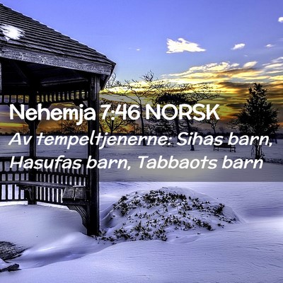 Picture 02 - Nehemja 7:46 NORSK - Av tempeltjenerne: Sihas barn, Hasufas barn, - Bible Verse Picture