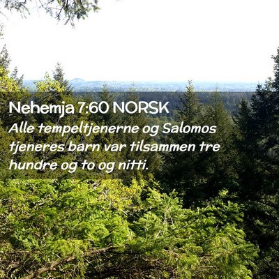 Picture 02 - Nehemja 7:60 NORSK - Alle tempeltjenerne og Salomos tjeneres barn var - Bible Verse Picture