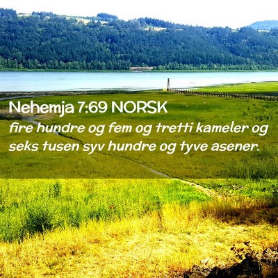 Picture 02 - Nehemja 7:69 NORSK - fire hundre og fem og tretti kameler og seks - Bible Verse Picture