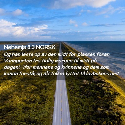 Picture 02 - Nehemja 8:3 NORSK - Og han leste op av den midt for plassen foran - Bible Verse Picture