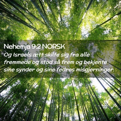 Picture 02 - Nehemja 9:2 NORSK - Og Israels ætt skilte sig fra alle fremmede og - Bible Verse Picture