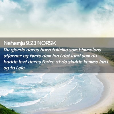 Picture 02 - Nehemja 9:23 NORSK - Du gjorde deres barn tallrike som himmelens - Bible Verse Picture