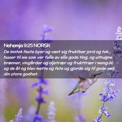 Picture 02 - Nehemja 9:25 NORSK - De inntok faste byer og vant sig fruktbar jord og - Bible Verse Picture