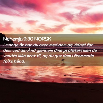 Picture 02 - Nehemja 9:30 NORSK - I mange år bar du over med dem og vidnet for dem - Bible Verse Picture