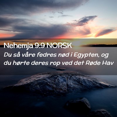 Picture 02 - Nehemja 9:9 NORSK - Du så våre fedres nød i Egypten, og du hørte - Bible Verse Picture