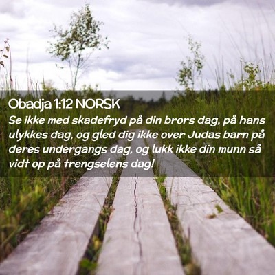 Picture 02 - Obadja 1:12 NORSK - Se ikke med skadefryd på din brors dag, på hans - Bible Verse Picture