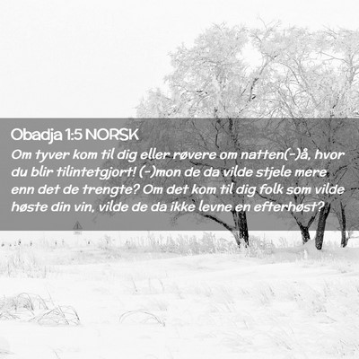 Picture 02 - Obadja 1:5 NORSK - Om tyver kom til dig eller røvere om - Bible Verse Picture