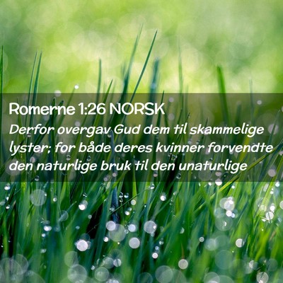 Picture 02 - Romerne 1:26 NORSK - Derfor overgav Gud dem til skammelige lyster; for - Bible Verse Picture