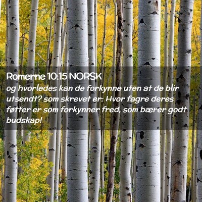 Picture 02 - Romerne 10:15 NORSK - og hvorledes kan de forkynne uten at de blir - Bible Verse Picture
