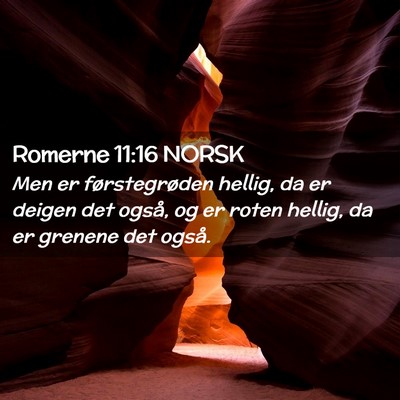 Picture 02 - Romerne 11:16 NORSK - Men er førstegrøden hellig, da er deigen det - Bible Verse Picture