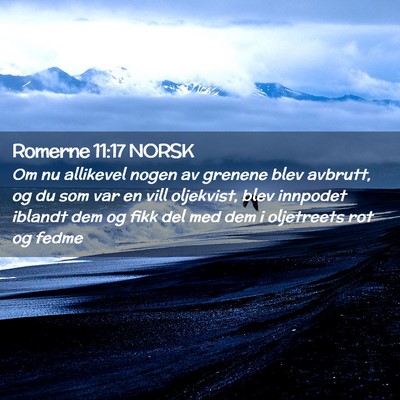 Picture 02 - Romerne 11:17 NORSK - Om nu allikevel nogen av grenene blev avbrutt, og - Bible Verse Picture
