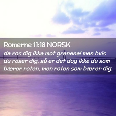 Picture 02 - Romerne 11:18 NORSK - da ros dig ikke mot grenene! men hvis du roser - Bible Verse Picture