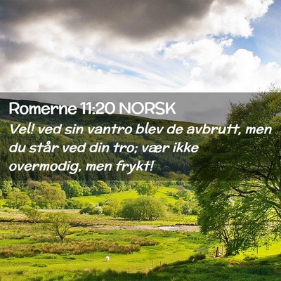 Picture 02 - Romerne 11:20 NORSK - Vel! ved sin vantro blev de avbrutt, men du står - Bible Verse Picture
