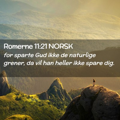 Picture 02 - Romerne 11:21 NORSK - for sparte Gud ikke de naturlige grener, da vil - Bible Verse Picture