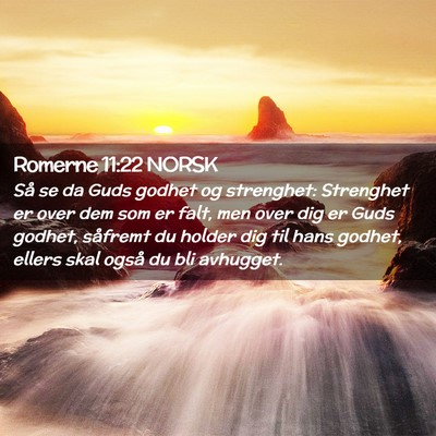 Picture 02 - Romerne 11:22 NORSK - Så se da Guds godhet og strenghet: Strenghet er - Bible Verse Picture