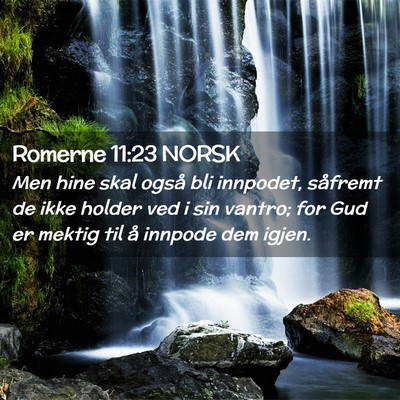Picture 02 - Romerne 11:23 NORSK - Men hine skal også bli innpodet, såfremt de - Bible Verse Picture