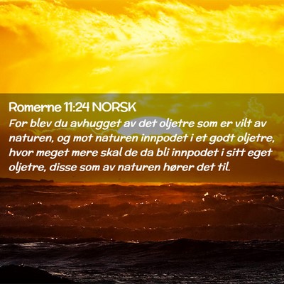 Picture 02 - Romerne 11:24 NORSK - For blev du avhugget av det oljetre som er vilt - Bible Verse Picture