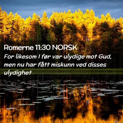 Picture 02 - Romerne 11:30 NORSK - For likesom I før var ulydige mot Gud, men nu - Bible Verse Picture