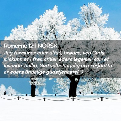 Picture 02 - Romerne 12:1 NORSK - Jeg formaner eder altså, brødre, ved Guds - Bible Verse Picture