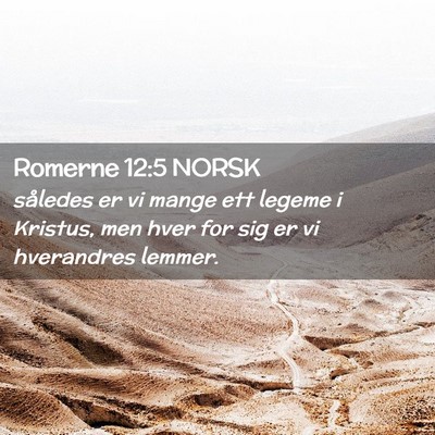 Picture 02 - Romerne 12:5 NORSK - således er vi mange ett legeme i Kristus, men - Bible Verse Picture