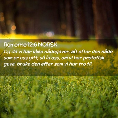Picture 02 - Romerne 12:6 NORSK - Og da vi har ulike nådegaver, alt efter den - Bible Verse Picture