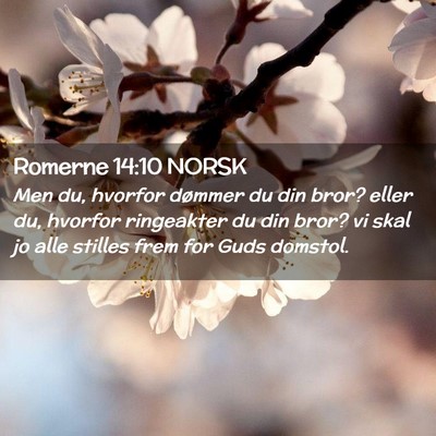 Picture 02 - Romerne 14:10 NORSK - Men du, hvorfor dømmer du din bror? eller du, - Bible Verse Picture