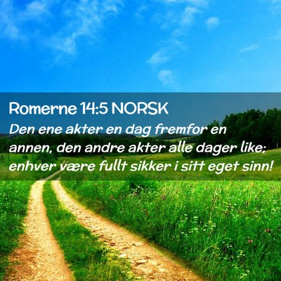 Picture 02 - Romerne 14:5 NORSK - Den ene akter en dag fremfor en annen, den andre - Bible Verse Picture
