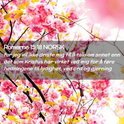 Picture 02 - Romerne 15:18 NORSK - for jeg vil ikke driste mig til å tale om annet - Bible Verse Picture