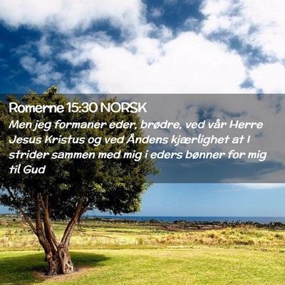 Picture 02 - Romerne 15:30 NORSK - Men jeg formaner eder, brødre, ved vår Herre - Bible Verse Picture