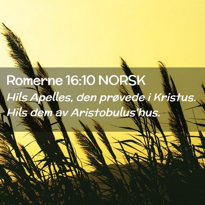 Picture 02 - Romerne 16:10 NORSK - Hils Apelles, den prøvede i Kristus. Hils dem av - Bible Verse Picture