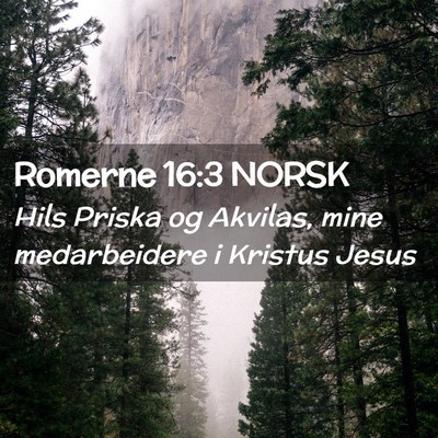 Picture 02 - Romerne 16:3 NORSK - Hils Priska og Akvilas, mine medarbeidere i - Bible Verse Picture