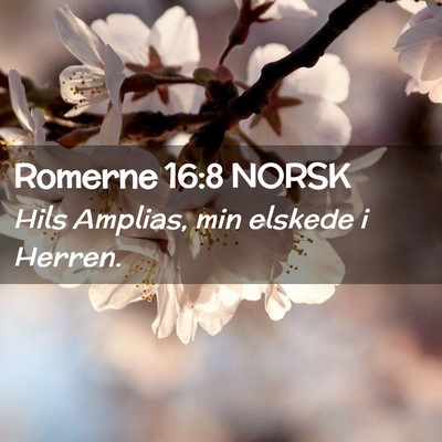 Picture 02 - Romerne 16:8 NORSK - Hils Amplias, min elskede i - Bible Verse Picture