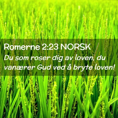 Picture 02 - Romerne 2:23 NORSK - Du som roser dig av loven, du vanærer Gud ved å - Bible Verse Picture