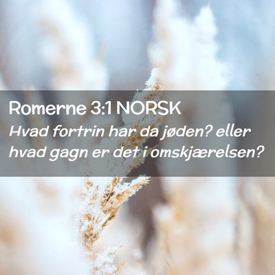 Picture 02 - Romerne 3:1 NORSK - Hvad fortrin har da jøden? eller hvad gagn er - Bible Verse Picture