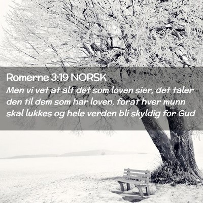 Picture 02 - Romerne 3:19 NORSK - Men vi vet at alt det som loven sier, det taler - Bible Verse Picture