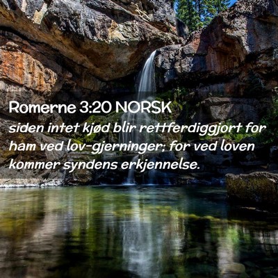 Picture 02 - Romerne 3:20 NORSK - siden intet kjød blir rettferdiggjort for ham - Bible Verse Picture