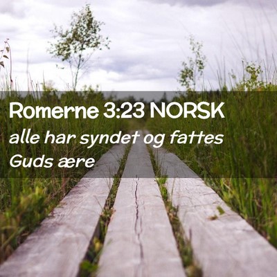 Picture 02 - Romerne 3:23 NORSK - alle har syndet og fattes Guds - Bible Verse Picture