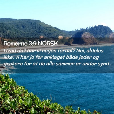 Picture 02 - Romerne 3:9 NORSK - Hvad da? har vi nogen fordel? Nei, aldeles ikke; - Bible Verse Picture