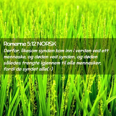 Picture 02 - Romerne 5:12 NORSK - Derfor, likesom synden kom inn i verden ved ett - Bible Verse Picture