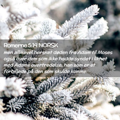Picture 02 - Romerne 5:14 NORSK - men allikevel hersket døden fra Adam til Moses - Bible Verse Picture