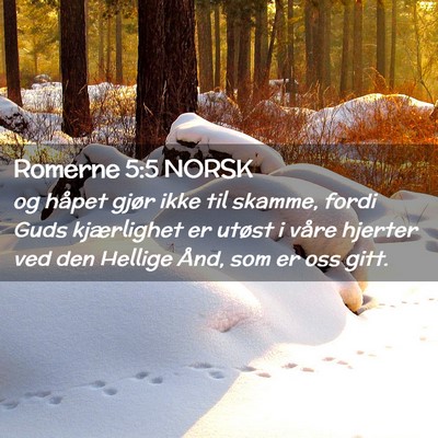 Picture 02 - Romerne 5:5 NORSK - og håpet gjør ikke til skamme, fordi Guds - Bible Verse Picture