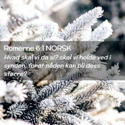 Picture 02 - Romerne 6:1 NORSK - Hvad skal vi da si? skal vi holde ved i synden, - Bible Verse Picture