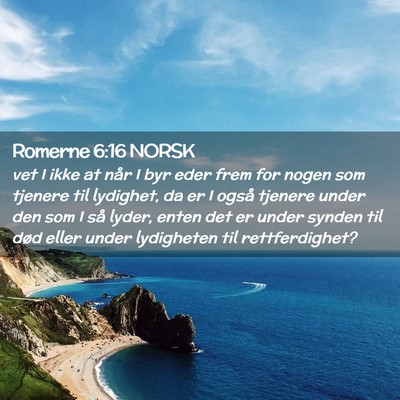 Picture 02 - Romerne 6:16 NORSK - vet I ikke at når I byr eder frem for nogen som - Bible Verse Picture