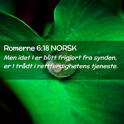 Picture 02 - Romerne 6:18 NORSK - Men idet I er blitt frigjort fra synden, er I - Bible Verse Picture