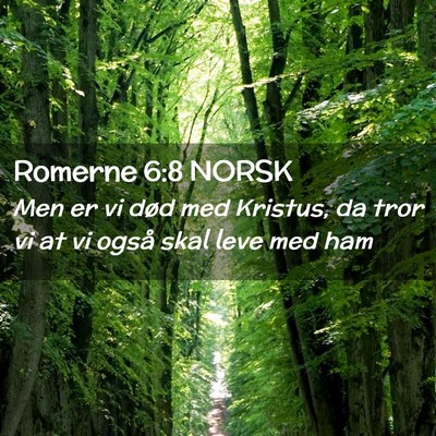 Picture 02 - Romerne 6:8 NORSK - Men er vi død med Kristus, da tror vi at vi - Bible Verse Picture
