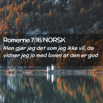 Picture 02 - Romerne 7:16 NORSK - Men gjør jeg det som jeg ikke vil, da vidner jeg - Bible Verse Picture