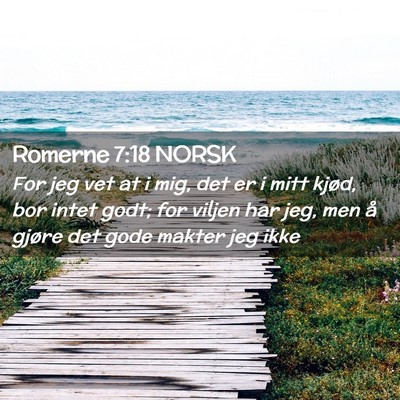 Picture 02 - Romerne 7:18 NORSK - For jeg vet at i mig, det er i mitt kjød, bor - Bible Verse Picture